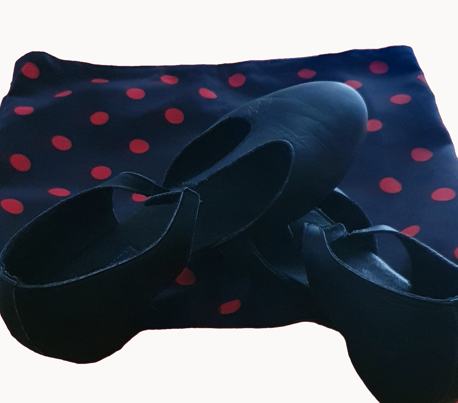 bolsa para zapatillas